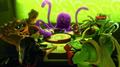 Immagine tratta dal film TOY STORY 3 - LA GRANDE FUGA