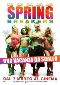 Locandina del film SPRING BREAKERS - UNA VACANZA DA SBALLO